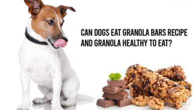 what can dogs eat granola bars recipe, is granola health to eat