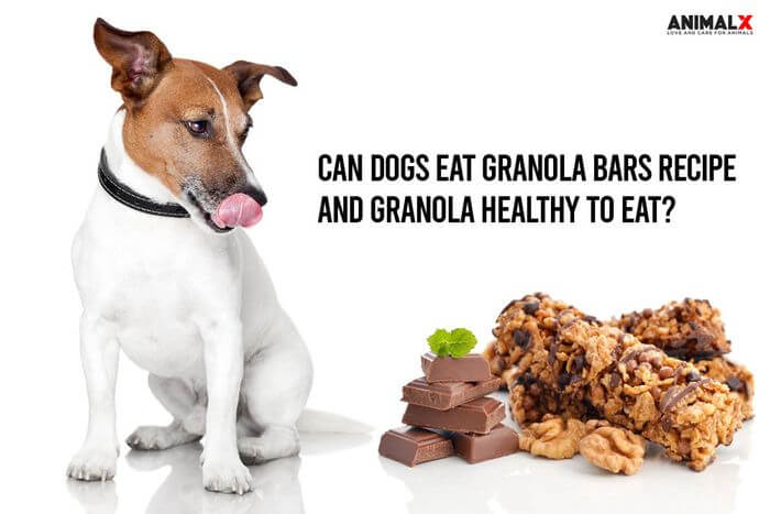 what can dogs eat granola bars recipe, is granola health to eat