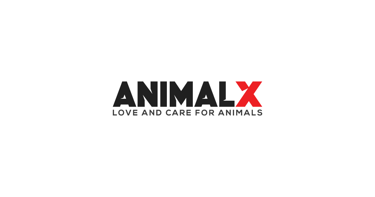 Animal X