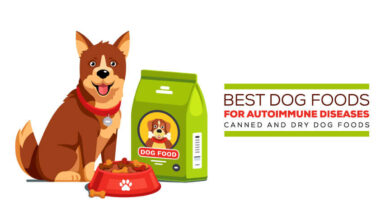 best dog food for autoimmune disease canned and dry foods, how long can a dog live with autoimmune disease, natural remedies for dogs with autoimmune disease, best dog food for imha, how to treat a dog with autoimmune disease, best dog food for discoid lupus, can autoimmune disease kill a dog, raw food diet for dogs with autoimmune disease, best food for dog with lupus