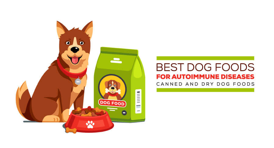 best dog food for autoimmune disease canned and dry foods, how long can a dog live with autoimmune disease, natural remedies for dogs with autoimmune disease, best dog food for imha, how to treat a dog with autoimmune disease, best dog food for discoid lupus, can autoimmune disease kill a dog, raw food diet for dogs with autoimmune disease, best food for dog with lupus