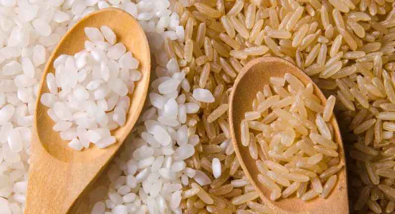 brown rice vs white rice carbs for dogs, brown rice or white rice for dogs with diarrhea, white or brown rice for dogs, brown rice for dogs good or bad, can i feed my dog rice everyday, what brand of white rice is best for dogs, can i give my dog brown rice for an upset stomach, can dogs eat brown rice everyday, can dogs eat brown rice for diarrhea