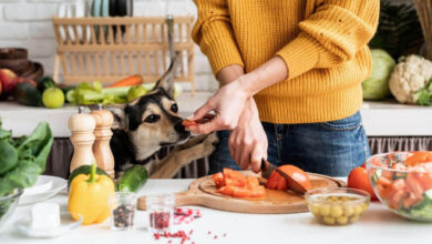 how to prepare vegetables for dogs, best vegetables for dogs, top 10 vegetables for dogs, 10 best fruits and vegetables for dogs, what vegetables are good for dogs, pureed vegetables for dogs, what vegetables can dogs not eat, are raw or cooked vegetables better for dogs, best vegetables for dogs with allergies