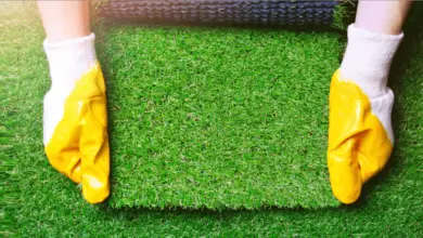 3 benefits of having a dog grass pad on your balcony, real grass for dogs to pee on balcony, porch potty, dog balcony potty, dog grass pads for apartments, real grass patch for dogs, dog potty grass, dog porch potty with drainage system