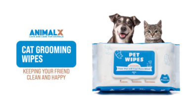 top 5 best cat grooming wipes keeping your friend clean and happy, best wipes for cats bottoms, best cat wipes, best wipes for cat acne, vet recommended cat wipes, best wipes for cats eyes, cat wipes for bum, homemade cat wipes, best kitten wipes